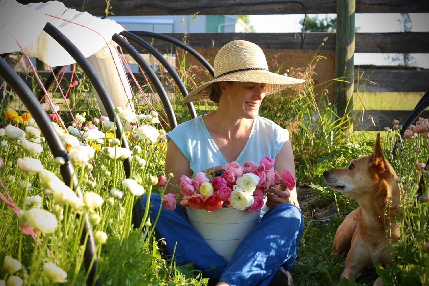 Bloomin' Dingo Farms — photo 31 of 36